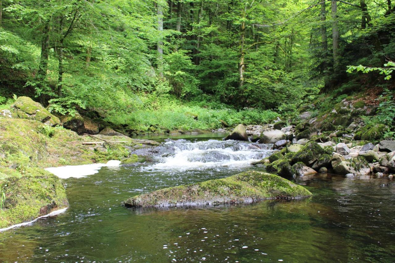 Ferienwohnung Hofleben Reiner Neukirchen vorm Wald Eksteriør billede